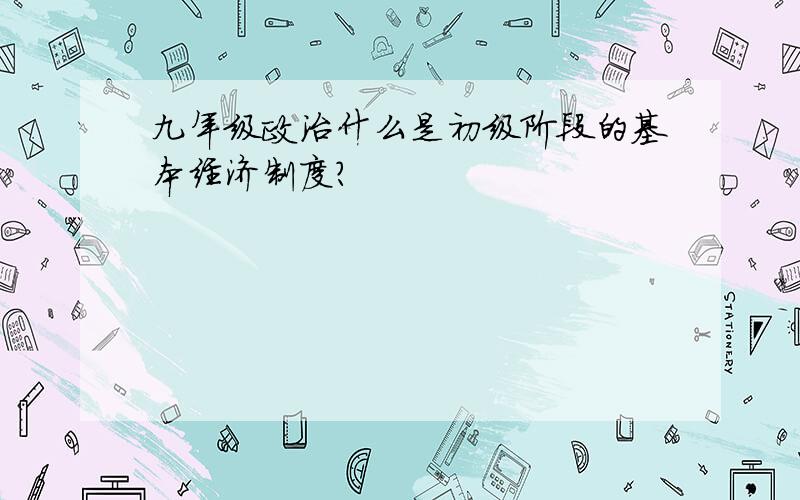 九年级政治什么是初级阶段的基本经济制度?