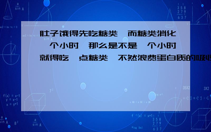 肚子饿得先吃糖类,而糖类消化一个小时,那么是不是一个小时就得吃一点糖类,不然浪费蛋白质的吸收