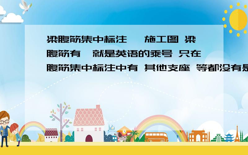 梁腹筋集中标注 一施工图 梁腹筋有*就是英语的乘号 只在腹筋集中标注中有 其他支座 等都没有是3φ20*4φ14这种