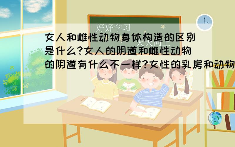 女人和雌性动物身体构造的区别是什么?女人的阴道和雌性动物的阴道有什么不一样?女性的乳房和动物的乳房有什么不一样?