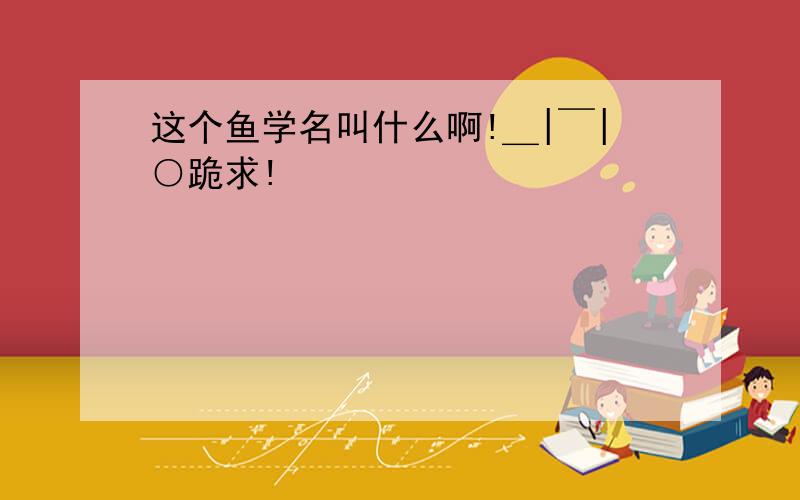 这个鱼学名叫什么啊!＿|￣|○跪求!