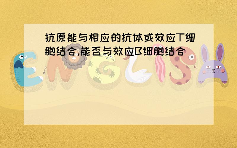 抗原能与相应的抗体或效应T细胞结合,能否与效应B细胞结合