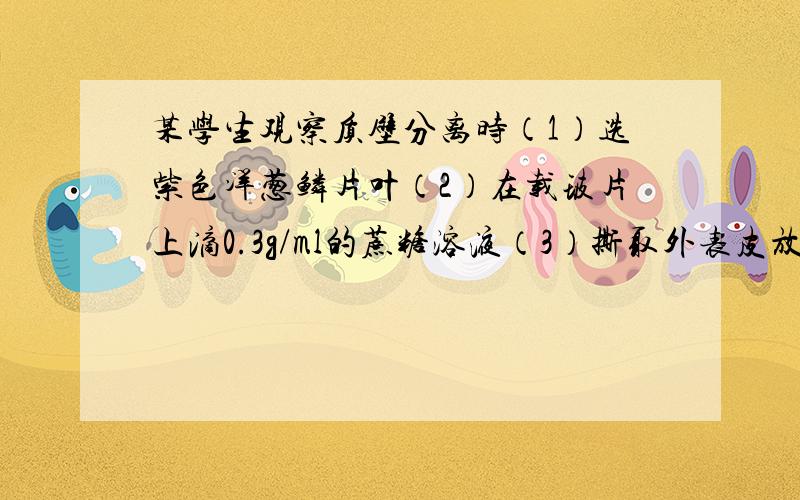 某学生观察质壁分离时（1）选紫色洋葱鳞片叶（2）在载玻片上滴0.3g/ml的蔗糖溶液（3）撕取外表皮放入糖水中（4）加盖盖玻片（5）用显微镜观察（6）细胞已发生质壁分离 问：这里两个错