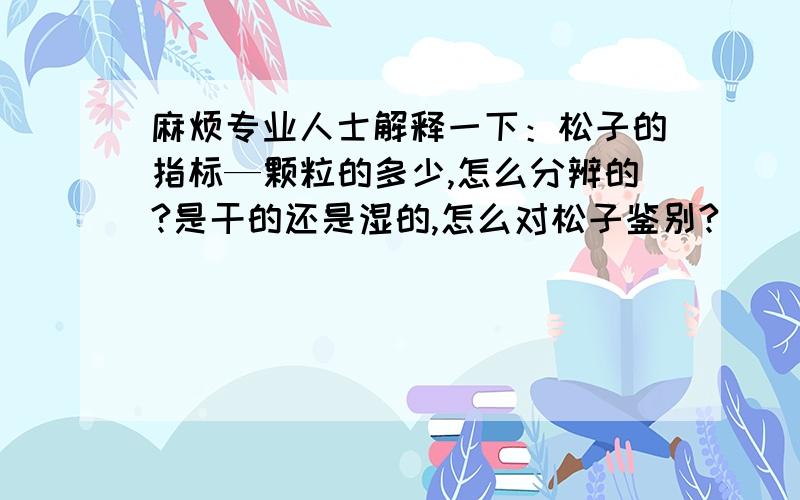 麻烦专业人士解释一下：松子的指标—颗粒的多少,怎么分辨的?是干的还是湿的,怎么对松子鉴别?