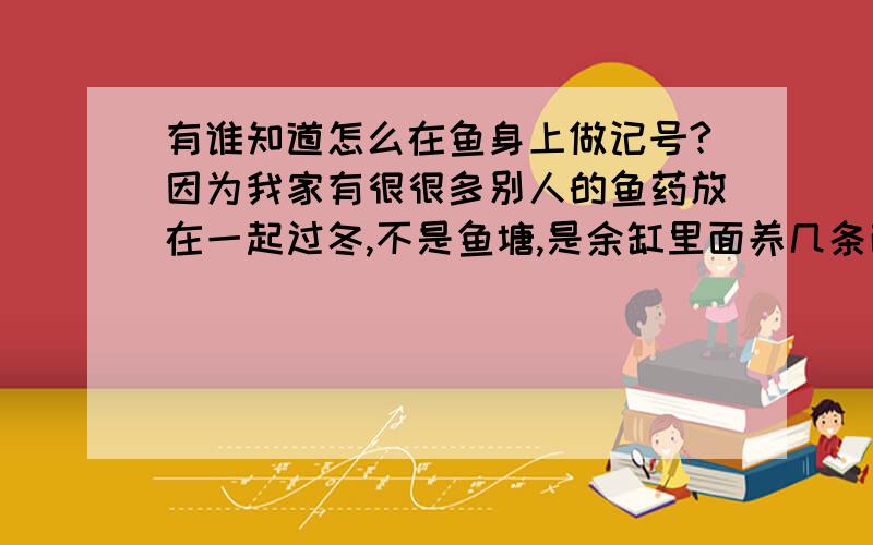 有谁知道怎么在鱼身上做记号?因为我家有很很多别人的鱼药放在一起过冬,不是鱼塘,是余缸里面养几条而已!