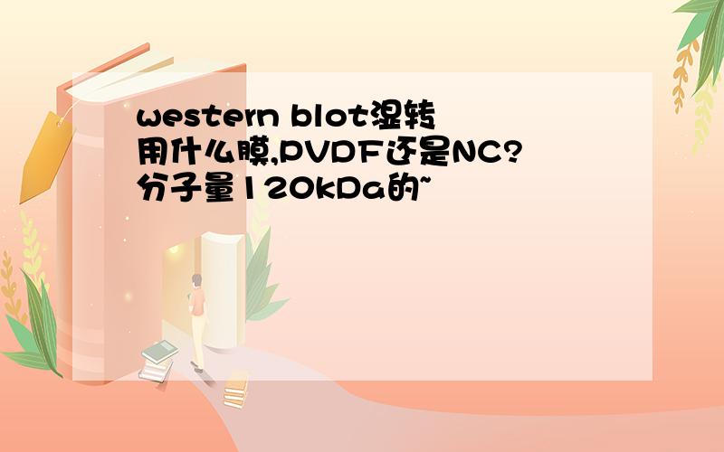 western blot湿转用什么膜,PVDF还是NC?分子量120kDa的~