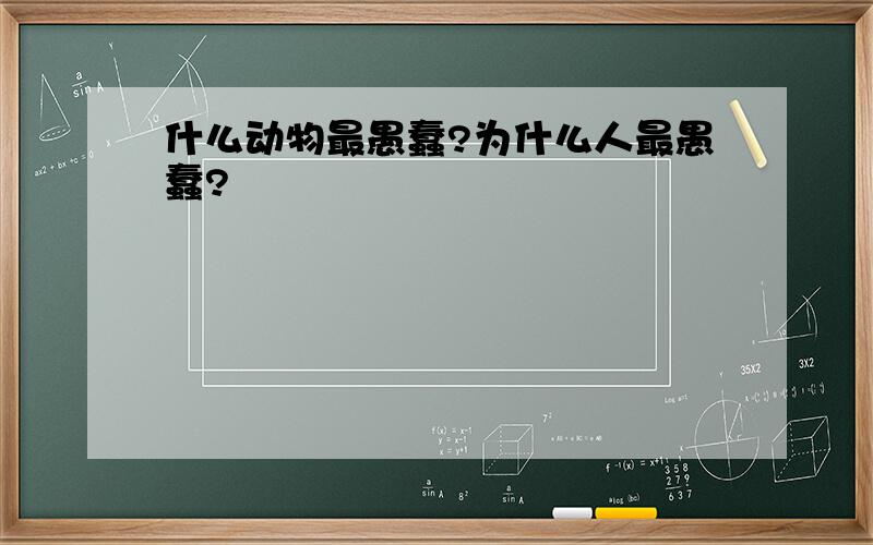 什么动物最愚蠢?为什么人最愚蠢?