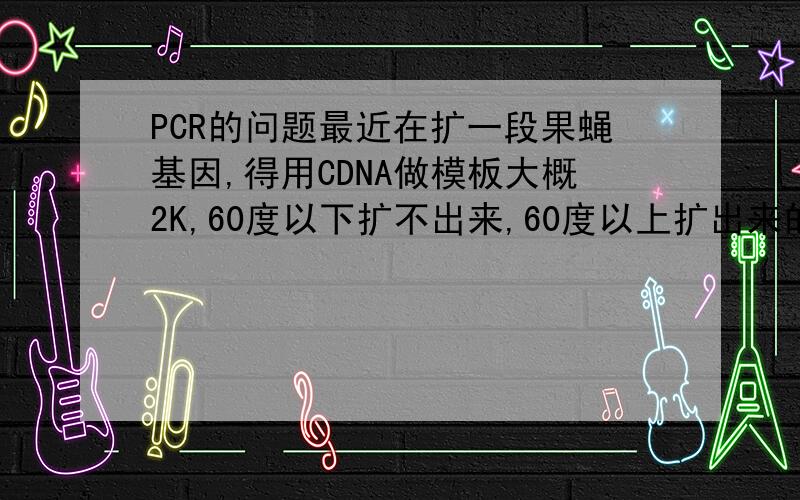 PCR的问题最近在扩一段果蝇基因,得用CDNA做模板大概2K,60度以下扩不出来,60度以上扩出来的全是杂带.总之大家能想到的都试过,咋回事呢?那段基因引物是不是很好设，能用的都用了，26个碱基