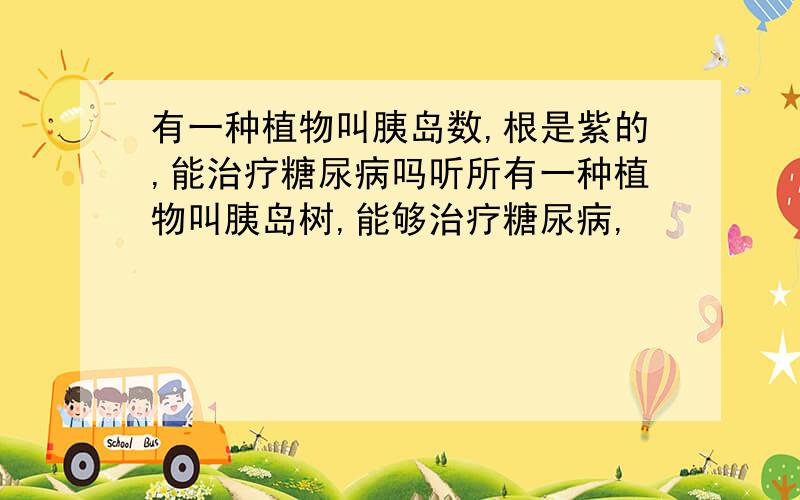 有一种植物叫胰岛数,根是紫的,能治疗糖尿病吗听所有一种植物叫胰岛树,能够治疗糖尿病,