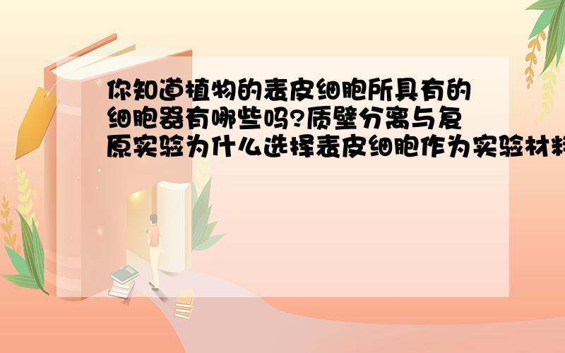 你知道植物的表皮细胞所具有的细胞器有哪些吗?质壁分离与复原实验为什么选择表皮细胞作为实验材料而不是叶你知道植物的表皮细胞具有哪些细胞器呀?质壁分离与复原实验为什么选择表