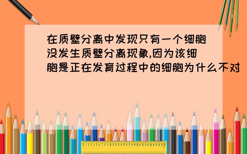 在质壁分离中发现只有一个细胞没发生质壁分离现象,因为该细胞是正在发育过程中的细胞为什么不对