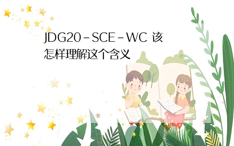 JDG20-SCE-WC 该怎样理解这个含义