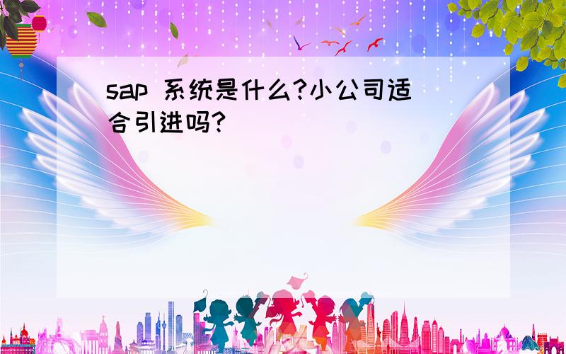 sap 系统是什么?小公司适合引进吗?