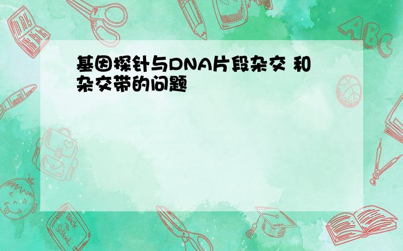 基因探针与DNA片段杂交 和杂交带的问题