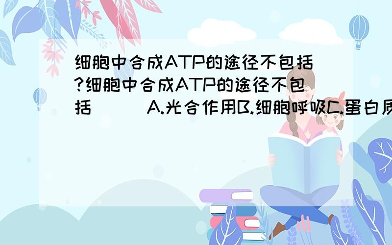 细胞中合成ATP的途径不包括?细胞中合成ATP的途径不包括 ( )A.光合作用B.细胞呼吸C.蛋白质的合成D.葡糖糖的氧化分解 我知道A B 是包括的但感觉C D 都不可以.应该选什么?是单选题.