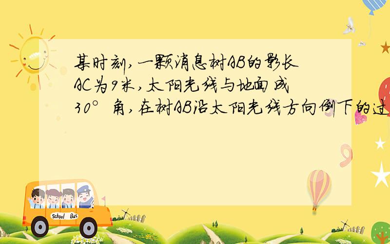 某时刻,一颗消息树AB的影长AC为9米,太阳光线与地面成30°角,在树AB沿太阳光线方向倒下的过程中树影长度发生了变化,假设太阳光线与地面夹角保持不变,则树影的最大长度是多少米,图就是树AB