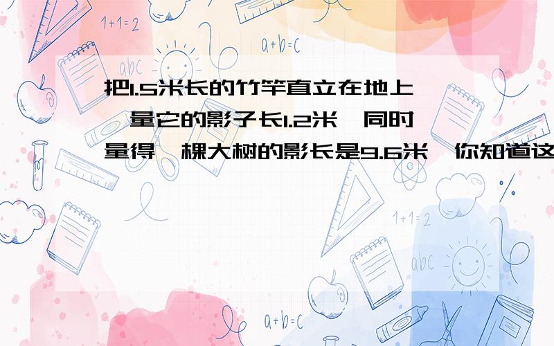 把1.5米长的竹竿直立在地上,量它的影子长1.2米,同时量得一棵大树的影长是9.6米,你知道这棵大树有多高吗