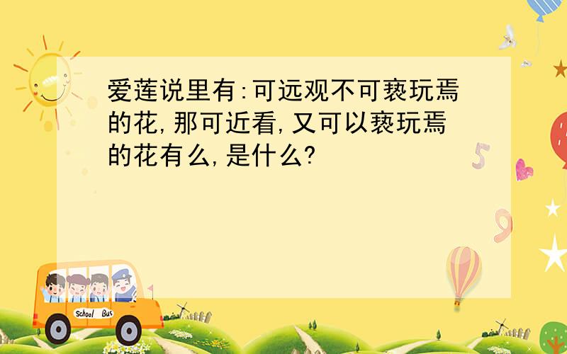 爱莲说里有:可远观不可亵玩焉的花,那可近看,又可以亵玩焉的花有么,是什么?