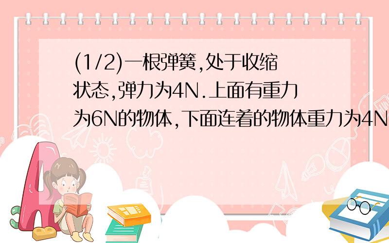 (1/2)一根弹簧,处于收缩状态,弹力为4N.上面有重力为6N的物体,下面连着的物体重力为4N.则地面受的力...(1/2)一根弹簧,处于收缩状态,弹力为4N.上面有重力为6N的物体,下面连着的物体重力为4N.则