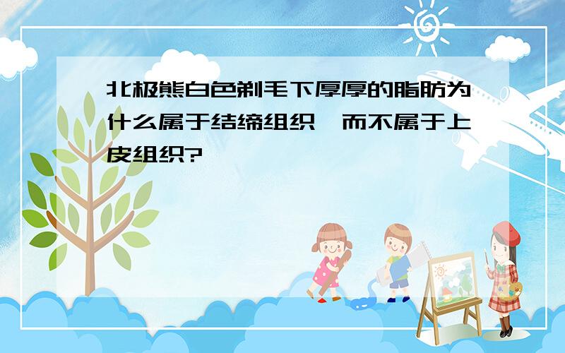 北极熊白色剃毛下厚厚的脂肪为什么属于结缔组织,而不属于上皮组织?