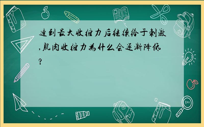 达到最大收缩力后继续给于刺激,肌肉收缩力为什么会逐渐降低?