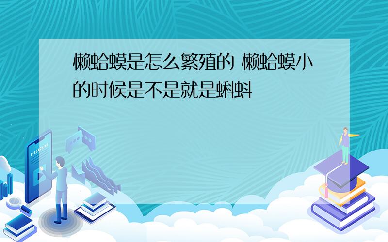 懒蛤蟆是怎么繁殖的 懒蛤蟆小的时候是不是就是蝌蚪