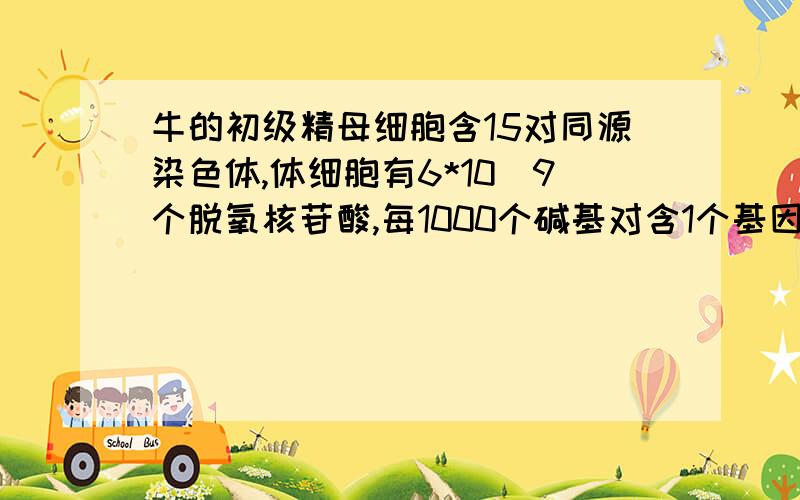 牛的初级精母细胞含15对同源染色体,体细胞有6*10^9个脱氧核苷酸,每1000个碱基对含1个基因牛的体细胞含几条染色体,每条染色体平均有几个基因?30；2*10^5答案是不是有误