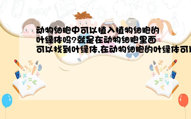 动物细胞中可以植入植物细胞的叶绿体吗?就是在动物细胞里面可以找到叶绿体,在动物细胞的叶绿体可以表达?把植物细胞的叶绿体放在动物细胞（如：人的体细胞）并表达成功.