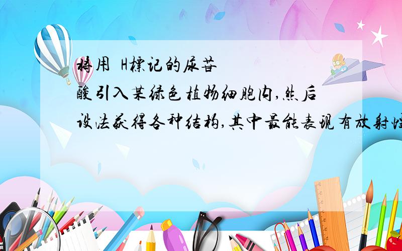 将用³H标记的尿苷酸引入某绿色植物细胞内,然后设法获得各种结构,其中最能表现有放射性的一组是A.细胞核 核仁 中心体B.核糖体 高尔基体 细胞核C.细胞核 核糖体 线粒体 叶绿体D.细胞核