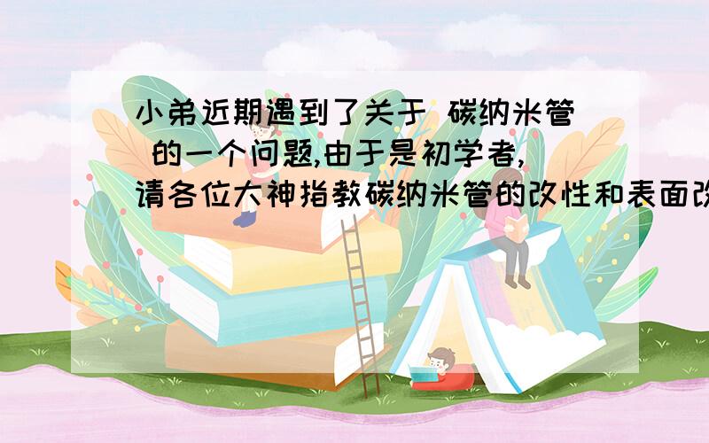 小弟近期遇到了关于 碳纳米管 的一个问题,由于是初学者,请各位大神指教碳纳米管的改性和表面改性指的是同一个东西吗?碳纳米管的修饰和改性是同一个东西吗?