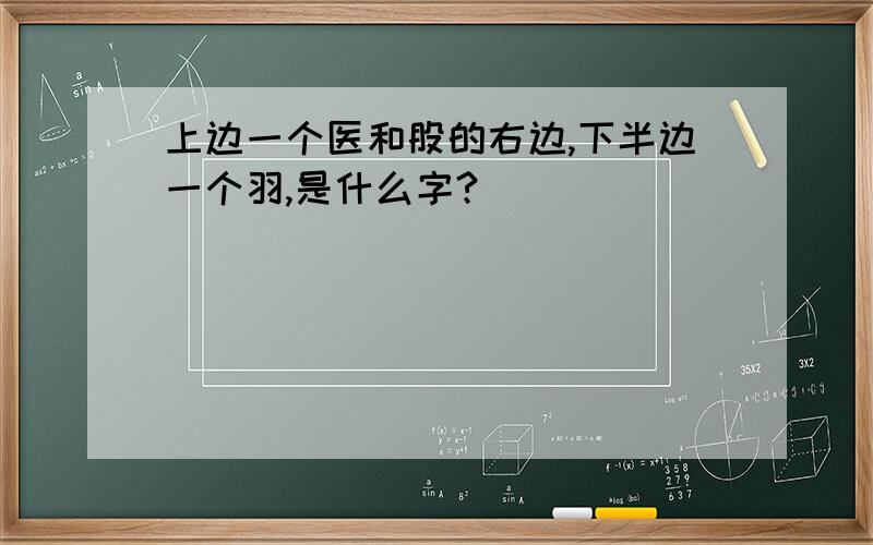 上边一个医和股的右边,下半边一个羽,是什么字?