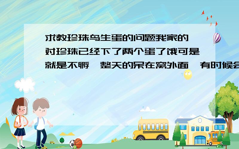 求教珍珠鸟生蛋的问题我家的一对珍珠已经下了两个蛋了饿可是就是不孵,整天的呆在窝外面,有时候会去几下又跑出来.是不是他们还要生蛋,全部生下来再孵呢?如果要用十姐妹代孵,我家有4只