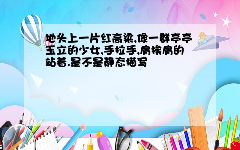 地头上一片红高粱,像一群亭亭玉立的少女,手拉手,肩挨肩的站着.是不是静态描写