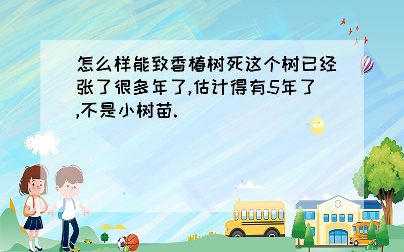 怎么样能致香椿树死这个树已经张了很多年了,估计得有5年了,不是小树苗.