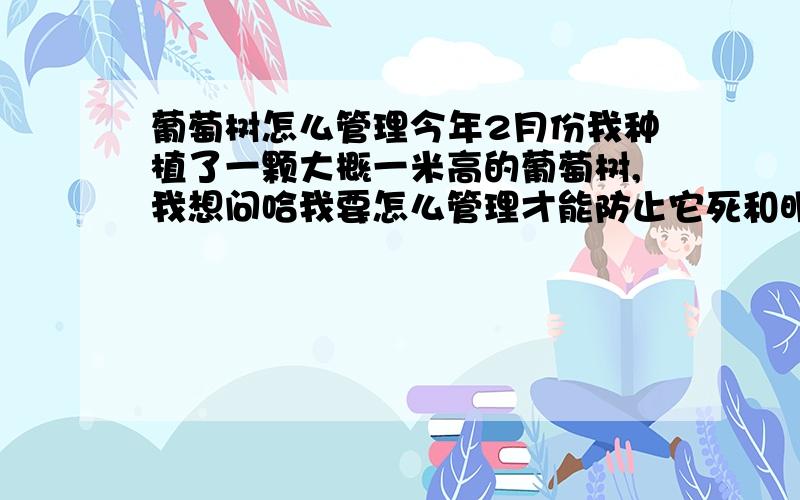 葡萄树怎么管理今年2月份我种植了一颗大概一米高的葡萄树,我想问哈我要怎么管理才能防止它死和明年不结果,（要每天浇水吗?早上还是什么时候 需要浇粪吗?什么时候剪枝.这是我第一次种