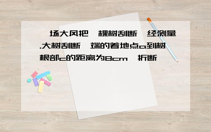 一场大风把一棵树刮断,经测量.大树刮断一端的着地点a到树根部c的距离为8cm,折断