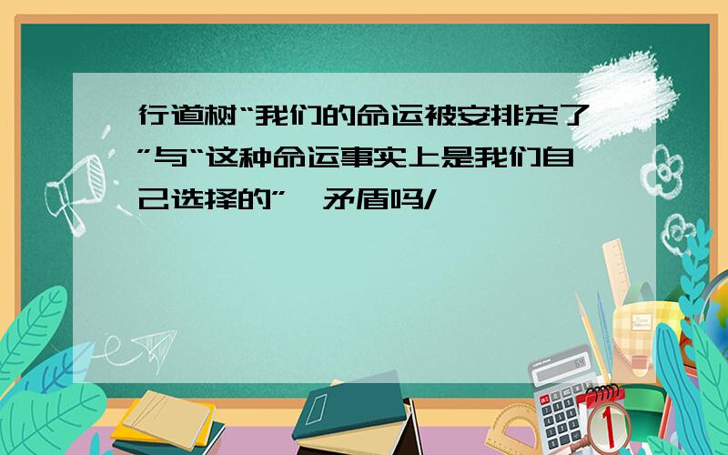 行道树“我们的命运被安排定了”与“这种命运事实上是我们自己选择的”,矛盾吗/