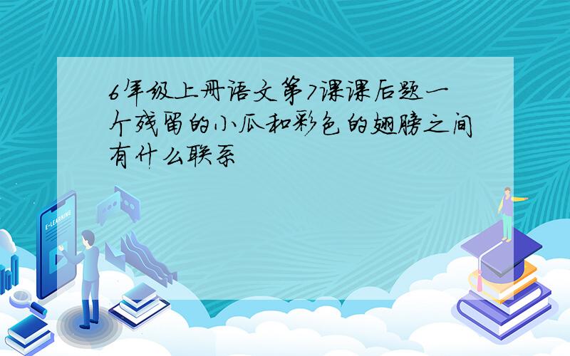 6年级上册语文第7课课后题一个残留的小瓜和彩色的翅膀之间有什么联系