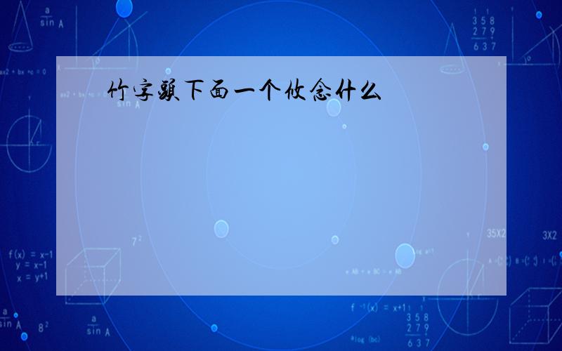 竹字头下面一个攸念什么