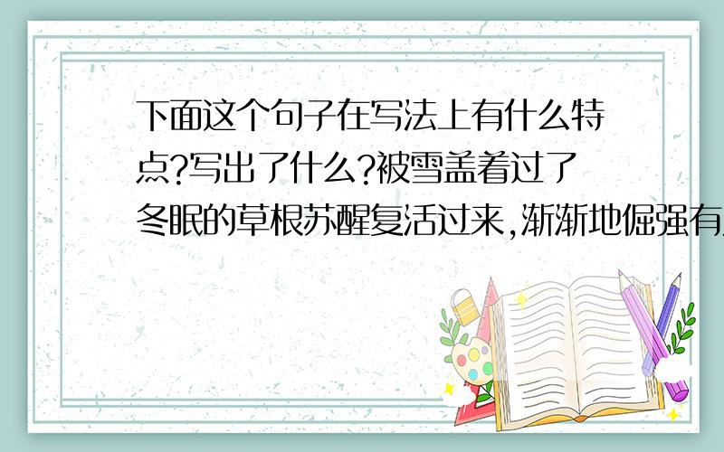 下面这个句子在写法上有什么特点?写出了什么?被雪盖着过了冬眠的草根苏醒复活过来,渐渐地倔强有力地推去陈旧的被雪盖着过了冬眠的草根苏醒复活过来,渐渐地倔强有力地推去陈旧的草植