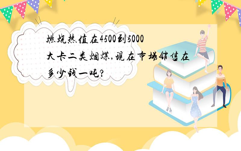 燃烧热值在4500到5000大卡二类烟煤,现在市场销售在多少钱一吨?