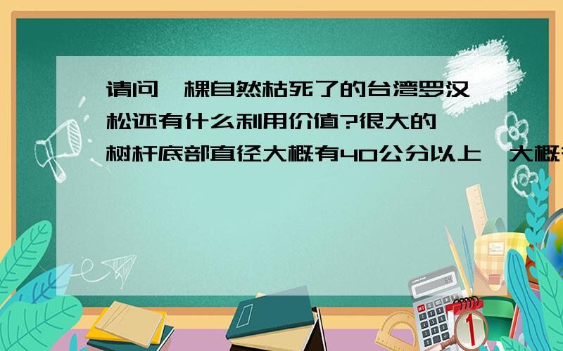 请问一棵自然枯死了的台湾罗汉松还有什么利用价值?很大的,树杆底部直径大概有40公分以上,大概有5米高