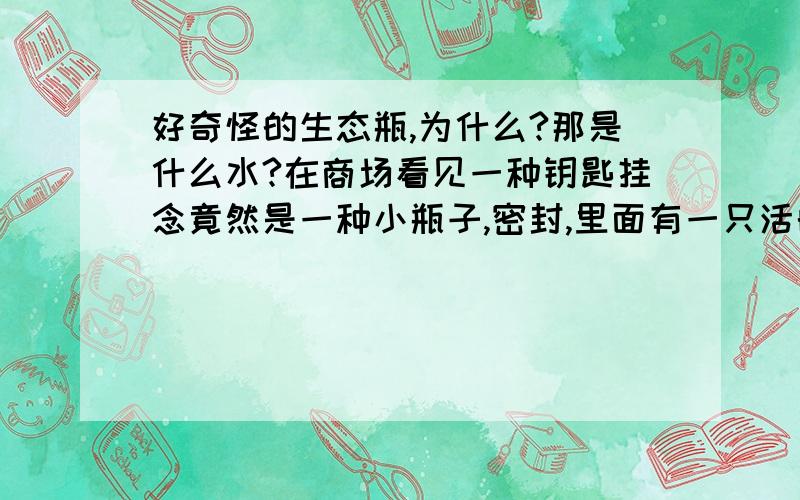 好奇怪的生态瓶,为什么?那是什么水?在商场看见一种钥匙挂念竟然是一种小瓶子,密封,里面有一只活的小鱼,但是这个东西既不漏水,也不透气阿,里面也没有什么产生氧气的东西,只有一个塑料