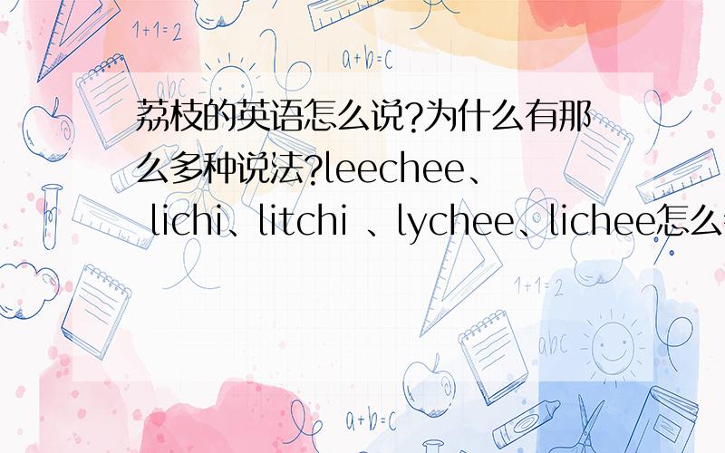 荔枝的英语怎么说?为什么有那么多种说法?leechee、 lichi、litchi 、lychee、lichee怎么会有这么多?它是可数名词吗?请专家或老师来解答.