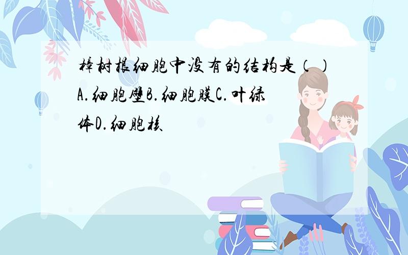 樟树根细胞中没有的结构是（）A.细胞壁B.细胞膜C.叶绿体D.细胞核