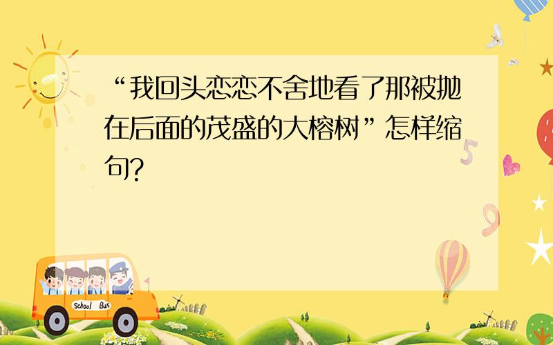 “我回头恋恋不舍地看了那被抛在后面的茂盛的大榕树”怎样缩句?