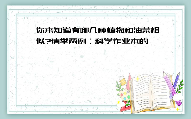 你来知道有哪几种植物和油菜相似?请举两例：科学作业本的