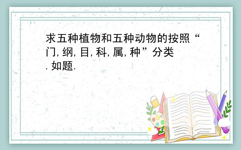 求五种植物和五种动物的按照“门,纲,目,科,属,种”分类.如题.