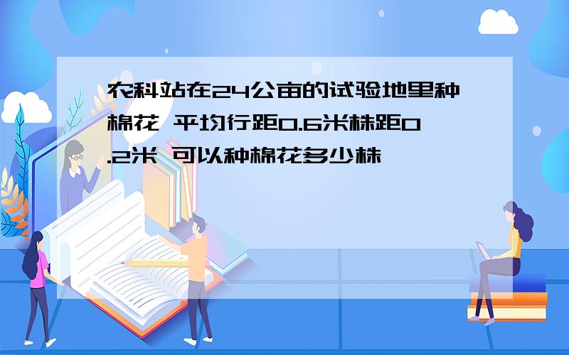 农科站在24公亩的试验地里种棉花 平均行距0.6米株距0.2米 可以种棉花多少株