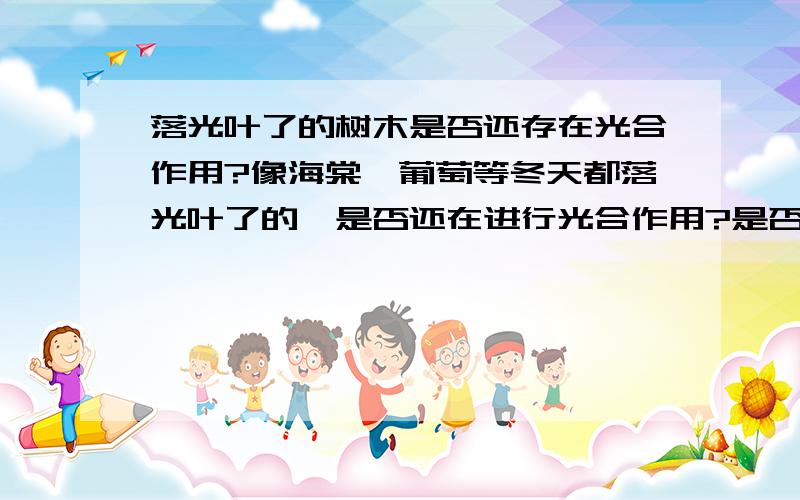 落光叶了的树木是否还存在光合作用?像海棠、葡萄等冬天都落光叶了的,是否还在进行光合作用?是否还需要光照.那么还需要进行光照吗？